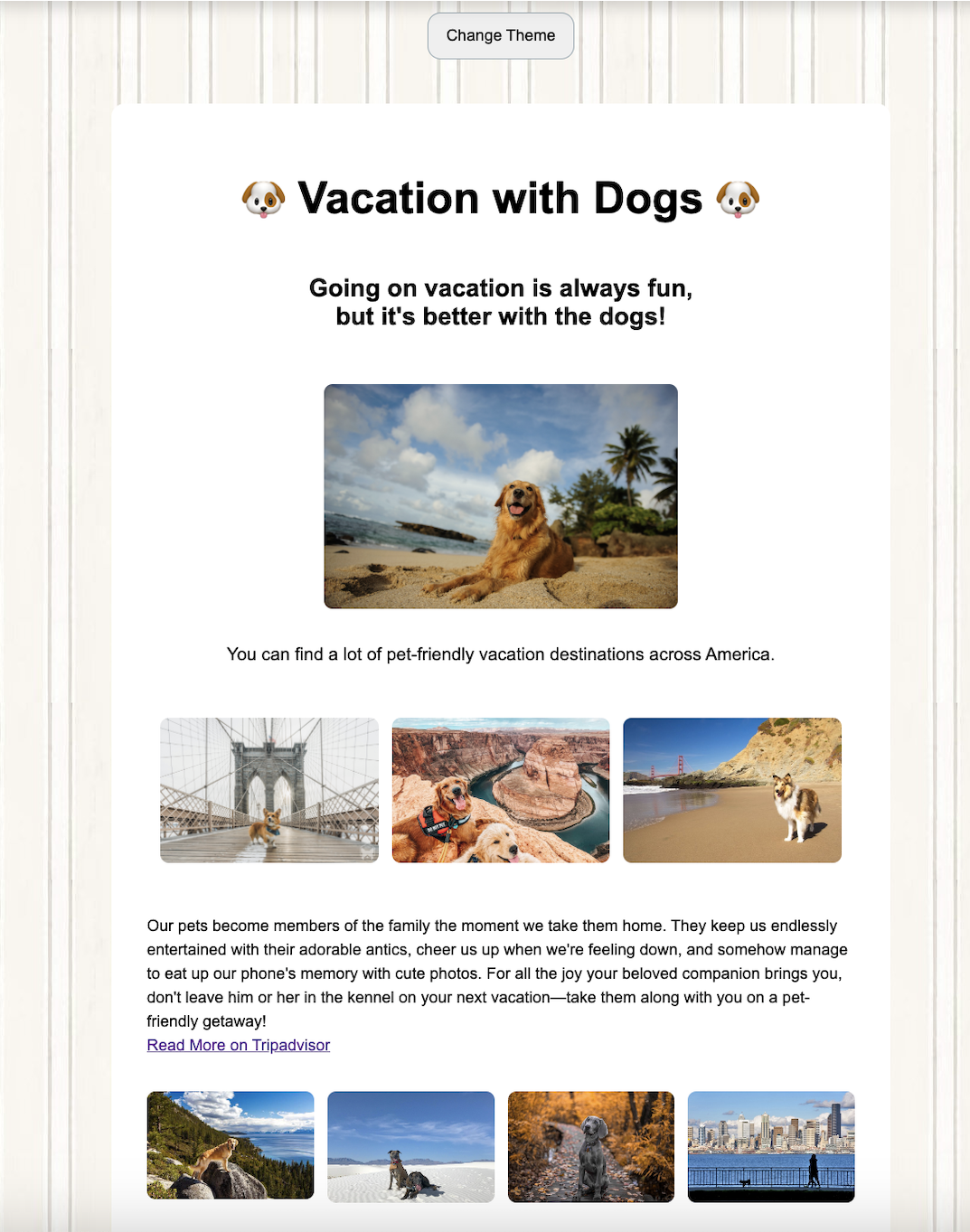 travel with dogs preveiw